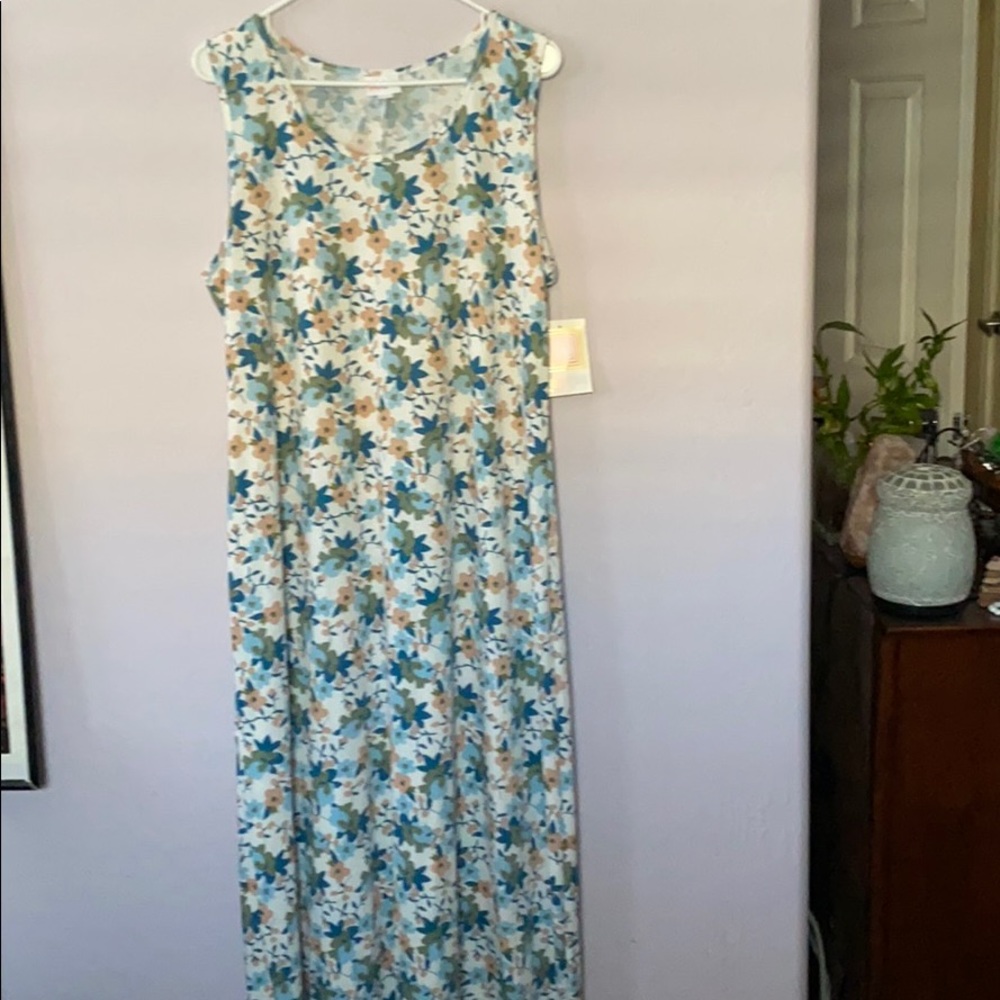 BNWT Dani Maxi dress